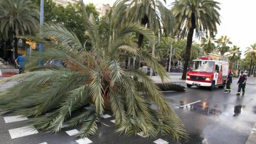 Dos muertos en otros tantos accidentes tras una fuerte tromba de agua en Barcelona