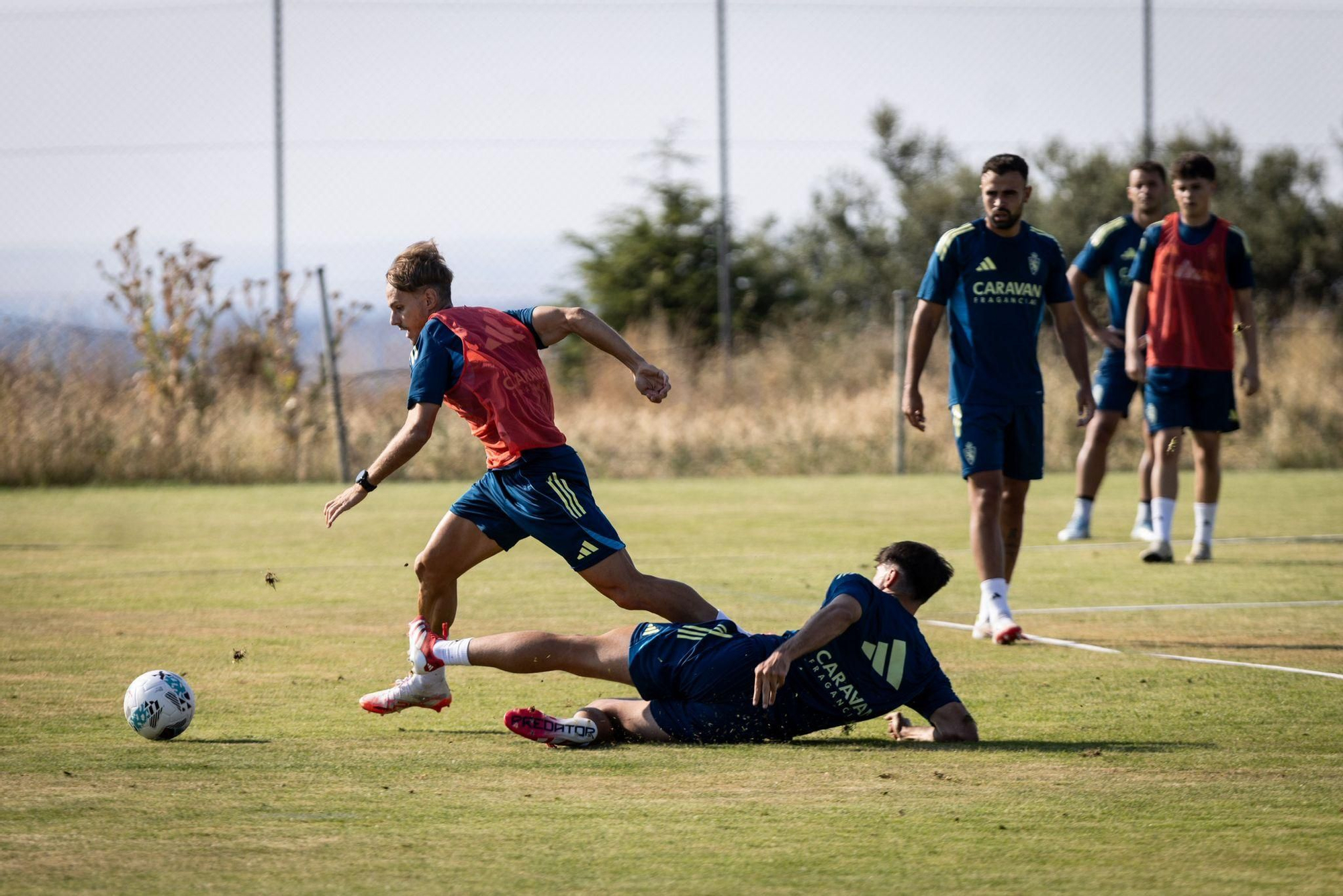 En imágenes | Pretemporada del Real Zaragoza en Los Ángeles de San Rafael: Fernando López se incorpora al stage