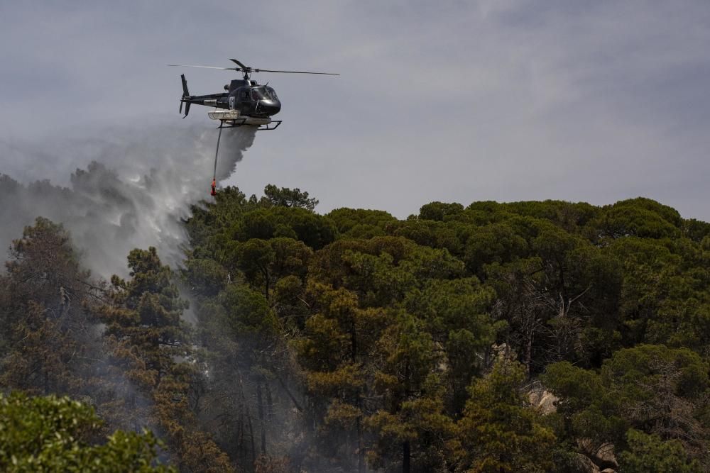 Incendi forestal en una urbanització de Lloret