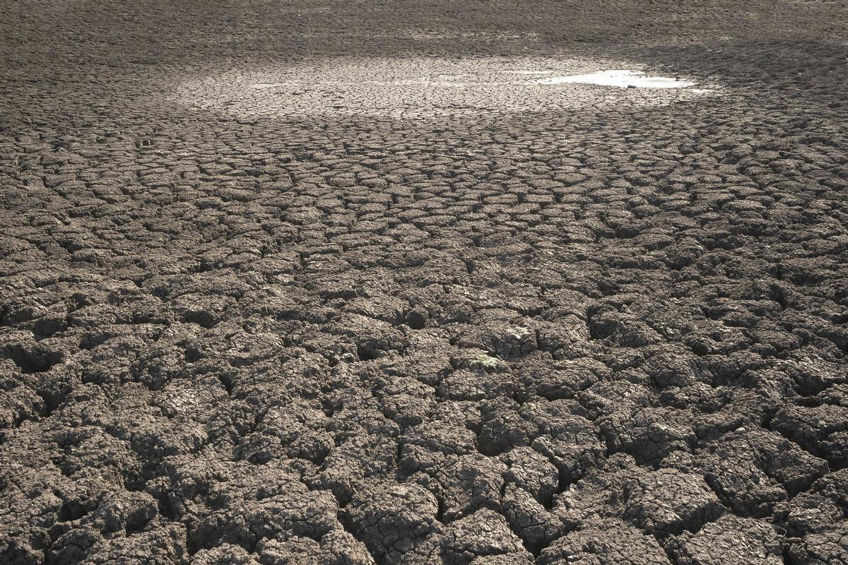 La sequía es una de  las conseciencias del calentamiento global.