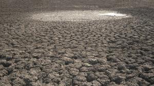 La sequía es una de  las conseciencias del calentamiento global.