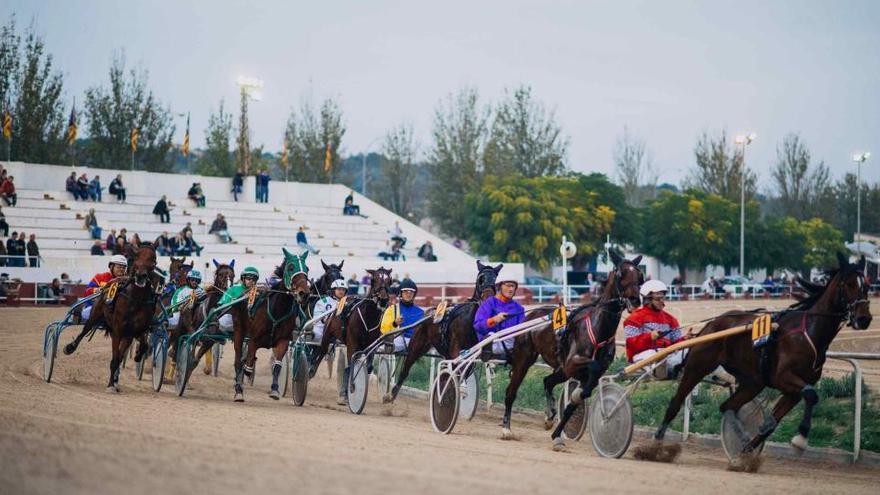 Pelotón de una carrera disputada en el Hipòdrom de Manacor, con su tribuna antigua al fondo.