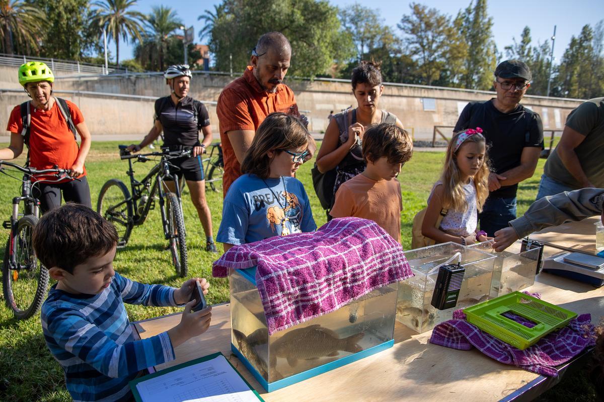 La fiesta de Va de Besòs, en el Parc del Litoral del Besòs