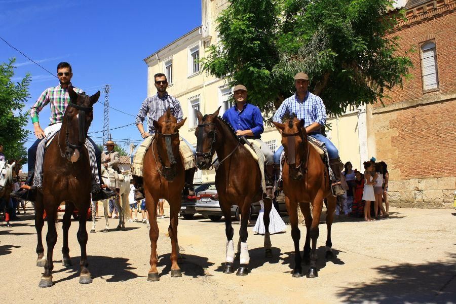 Feria del caballo en Fuentesaúco