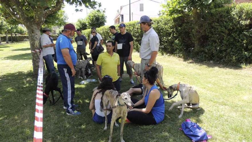 Un grupo de personas descansa en la pradera del antiguo &quot;camping&quot; de Santa Cristina el domingo. Foto M. A. C.