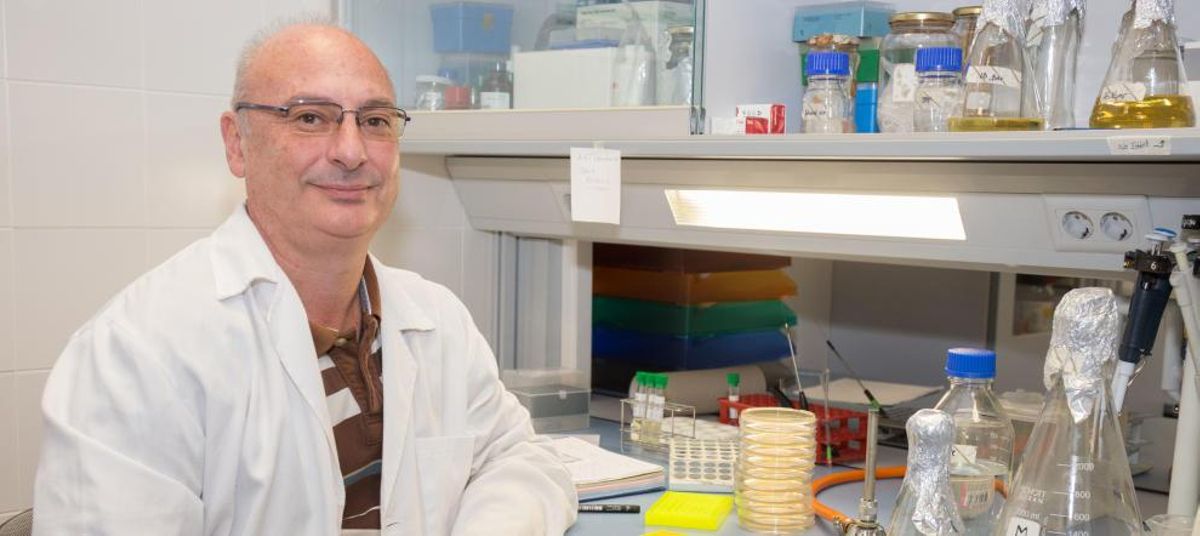 Descubren un mecanismo en las bacterias que potencia su actividad dañina