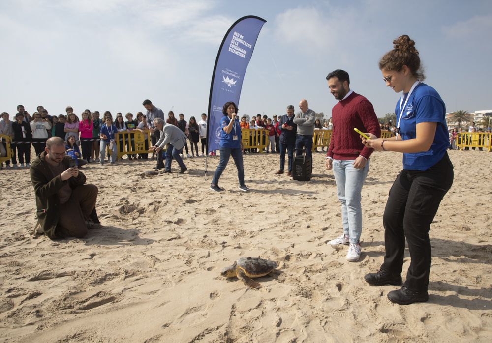 Suelta de tortugas en la playa del Port de Sagunt