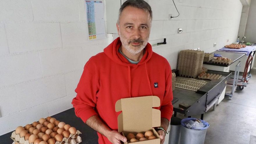 «Será inevitable subir el precio de los huevos»