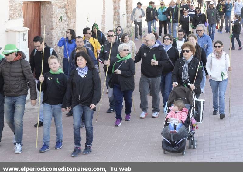 GALERÍA DE FOTOS - Romería Magdalena 2014 (3)