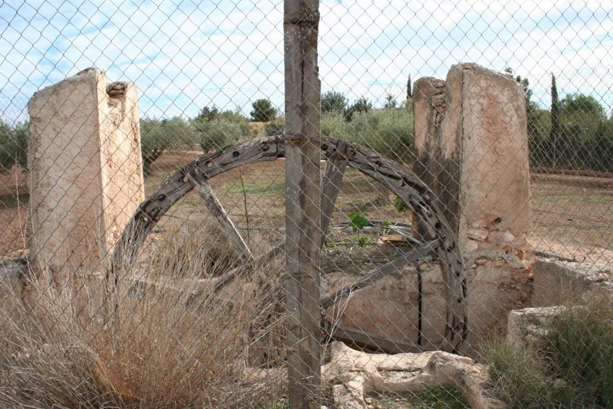 Noria de sangre (Torre Pacheco)