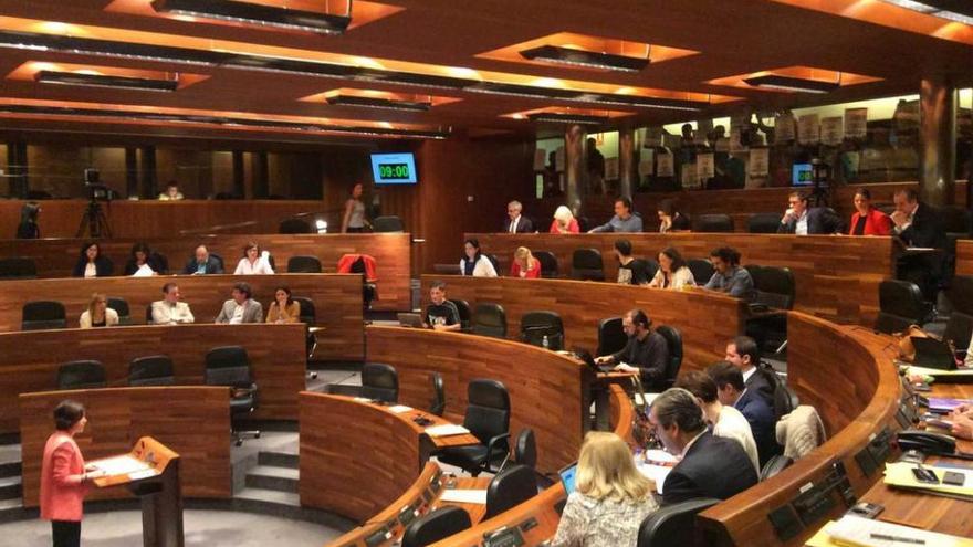 Dolores Carcedo interviene ante el Pleno, con los funcionarios protestando con carteles a la derecha.