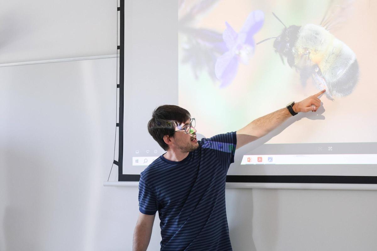 Un taller para identificar las abejas silvestres de Baleares