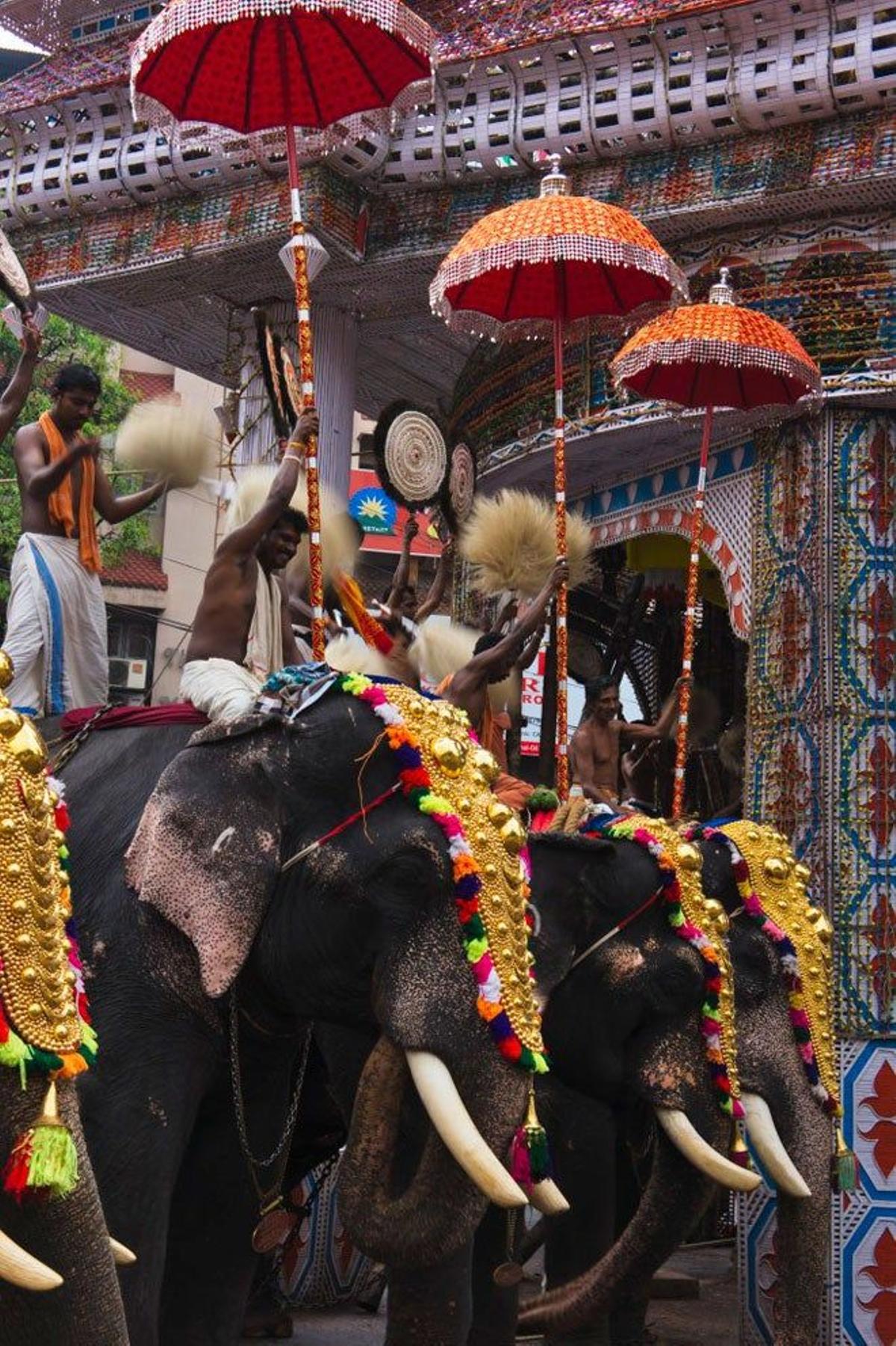 Elefantes vestidos con las mejores galas para el festival de Thrissur Pooram.