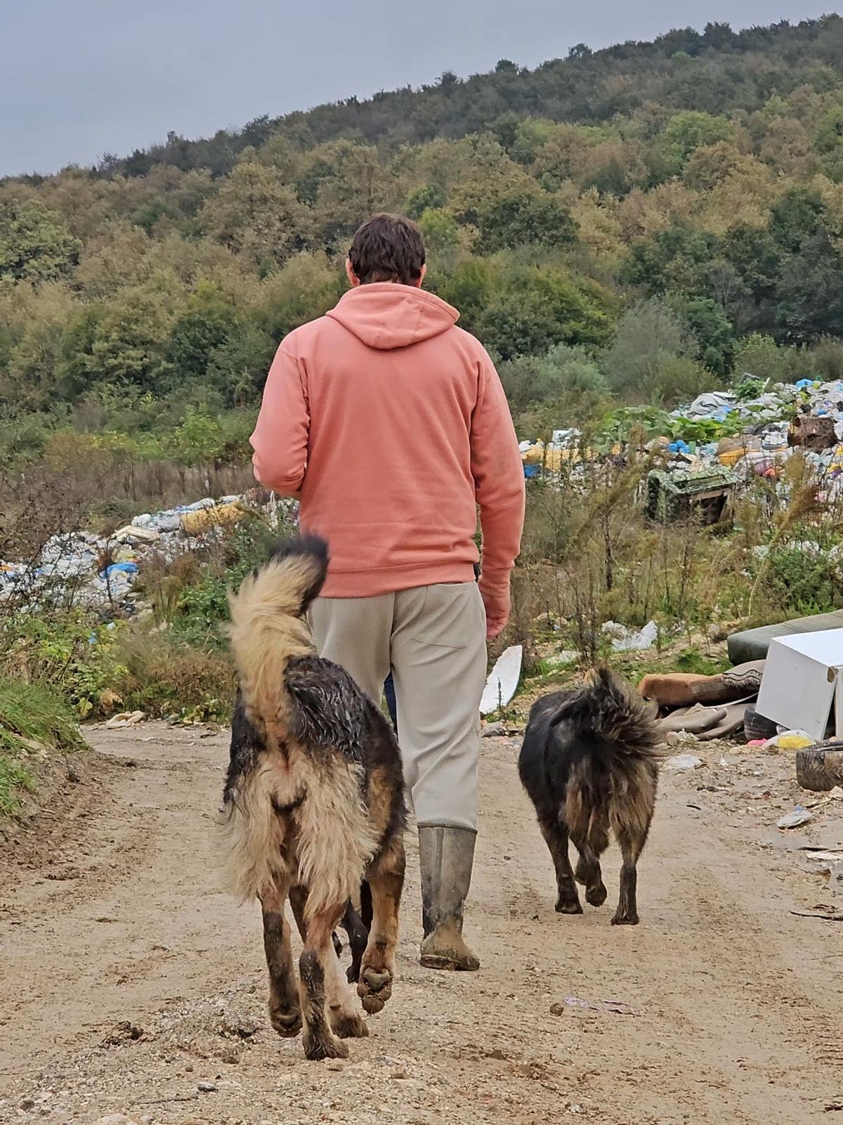 Dos perros abandonados en Bosnia siguen a Pedro.