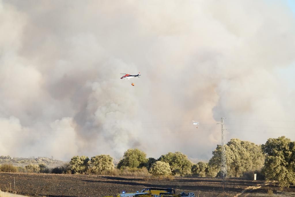 Incendio forestal en en el puerto del Calatraveño