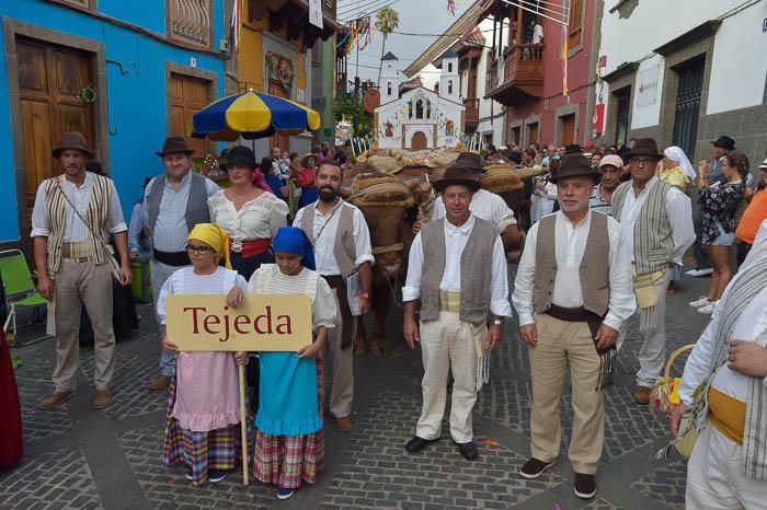 Carretas y grupos en la romería del Pino