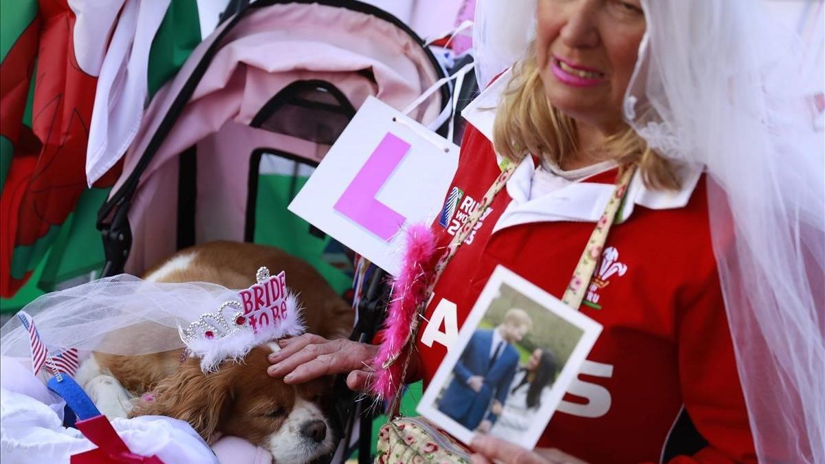 lmmarco43369973 royal well wisher anne daly holds a photograph of prince har180517133139