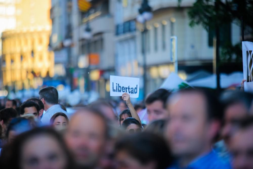 Manifestación a favor de la escuela concertada