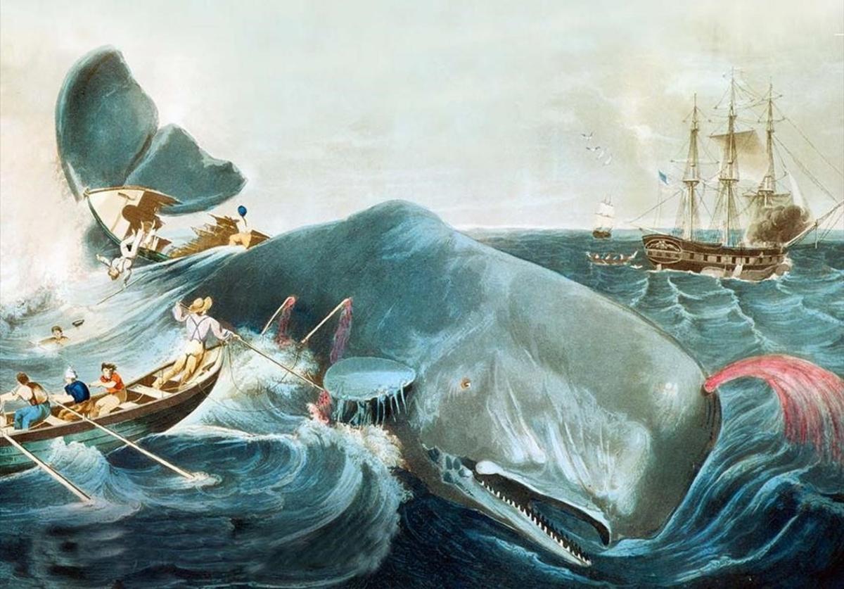 zentauroepp41733317 onbarcelona ilustracion de moby dick180124154755