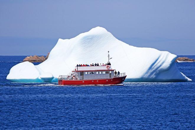 Iceberg, Terranova