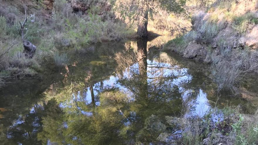 Una laguna próxima al Xorret del Catí de Petrer.