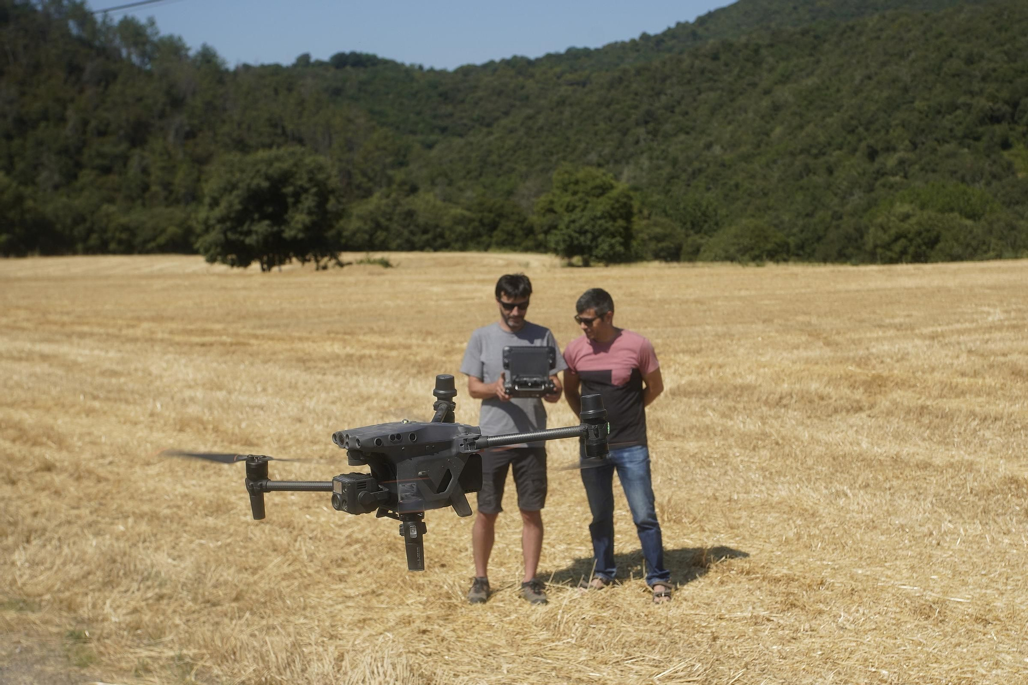 Inicien un seguiment amb drons a la Vall de Llémena per mesurar l’impacte del senglar