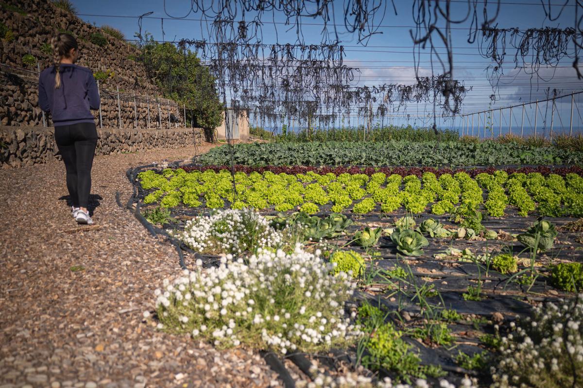 Finca Mar y Sol promueve la agricultura ecológica.