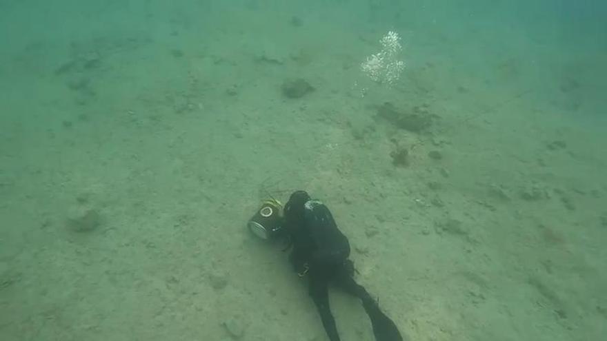 Intervención de las Fuerzas Armadas en el fondo marino
