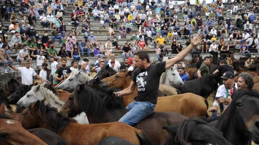 Menos reses dificultaron la labor 
de los aloitadores y aumentaron la 
emoción en el curro. |   //  BERNABÉ /J. LALÍN