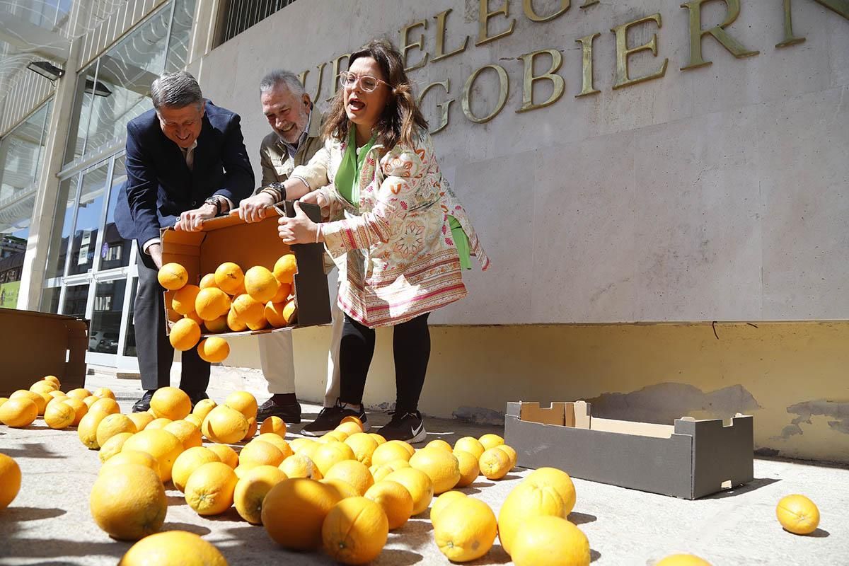 Reparto de naranjas reivindicativo de las organizaciones agrarias cordobesas