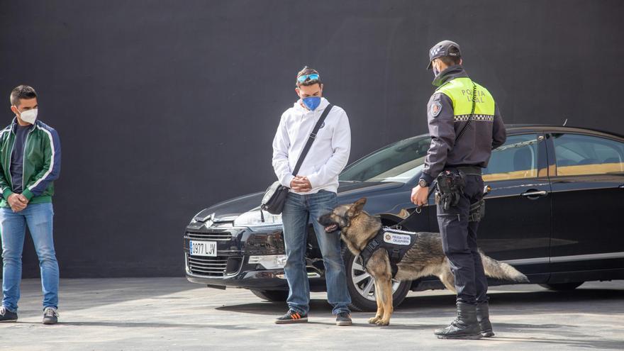 Unidad Canina de la Policía Local de Calasparra