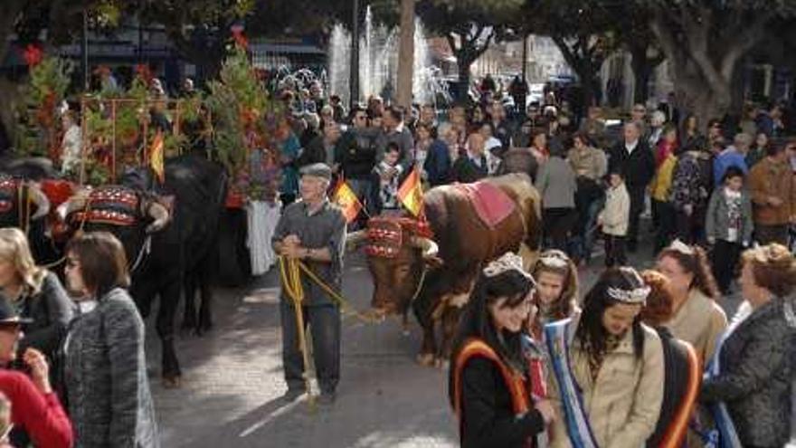 Cientos de mascotas van a misa por San Antón