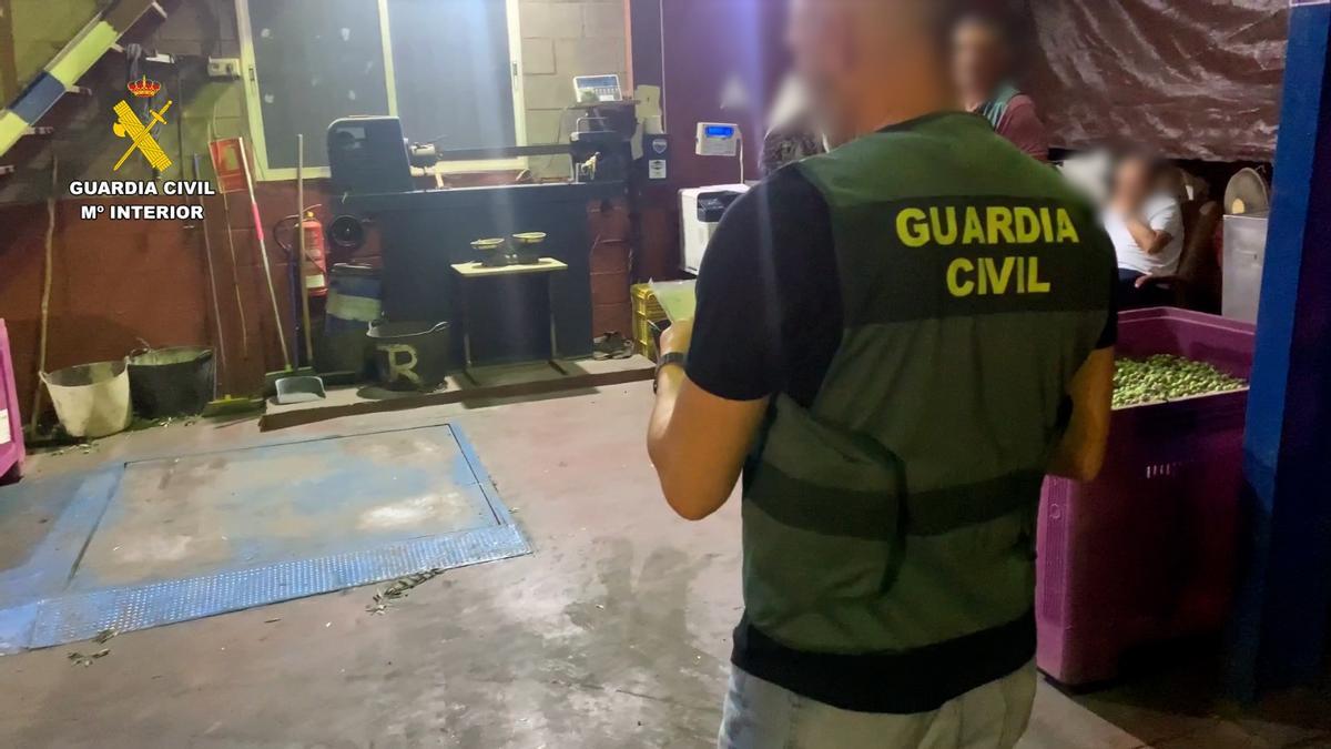 Robo de aceitunas en Sevilla