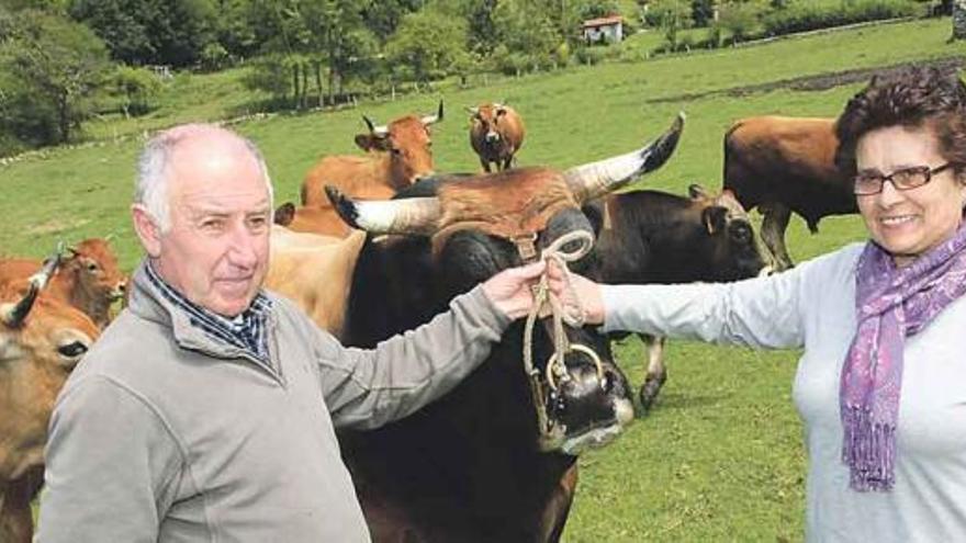 Jorge Cerra y su esposa, Amelia Sierra, con su ganado, ayer, en Barréu.