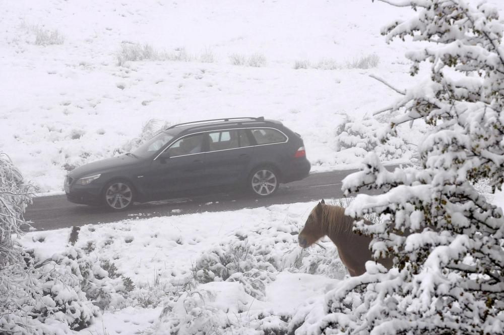 Ola de frío y nieve en Asturias