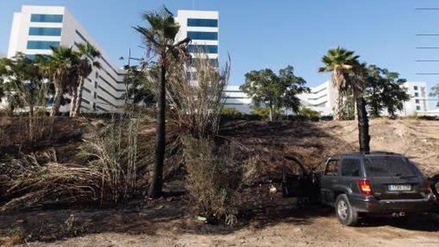 Un incendio detrás de la Fe quema 15 palmeras y al menos cuatro vehículos