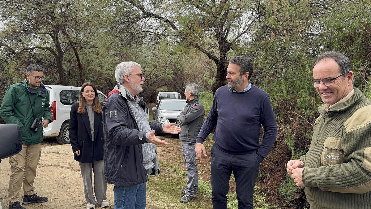 El concejal de Medio Ambiente participaba en la suelta de las cercetas en el Clot de Galvany de Elche