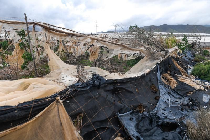 Invernaderos abandonados en la zona de acceso a Playa Vargas