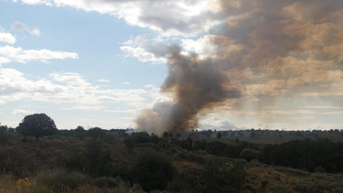 Incendio provocado por un rayo en Villardeciervos.