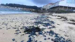 Una “marea” de medusas desembarca en las playas de Cangas por el temporal