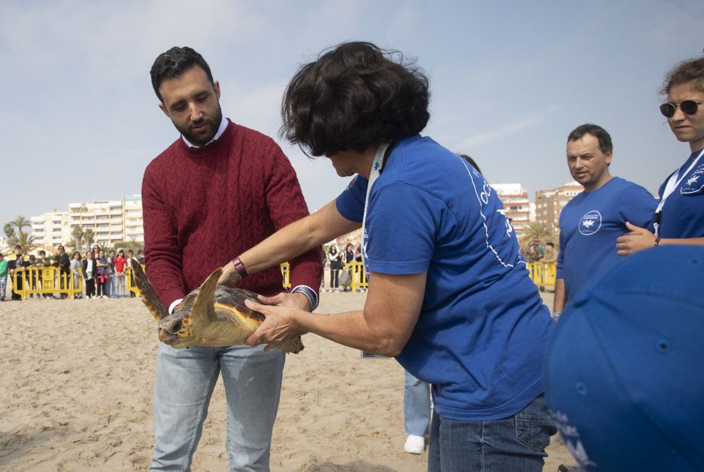 Suelta de tortugas en la playa del Port de Sagunt