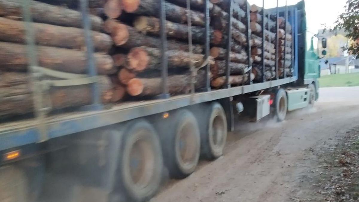 Un camión cargado de pinos pasa por el camino. | A. S.