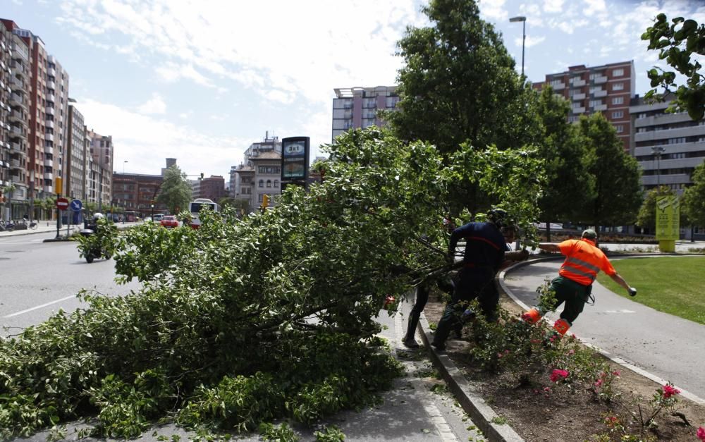 El temporal de viento causa estragos en Gijón