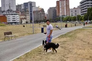 El azote del calor obliga a activar el refuerzo de riego en varias zonas verdes de Gijón como el Solarón o el Cerro (en imágenes)