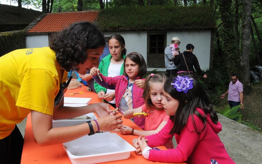 Día Mundial del Medio Ambiente en Lalín