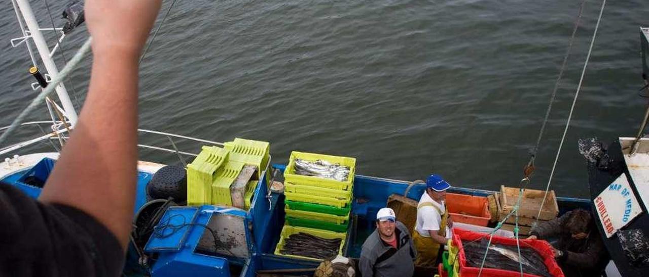 Pescadores descargando merluza en el puerto de Avilés.