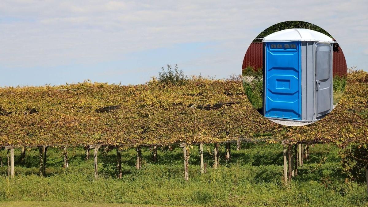 Un agricultor gallego se enfrenta a una sorprendente multa por no tener baño portátil.