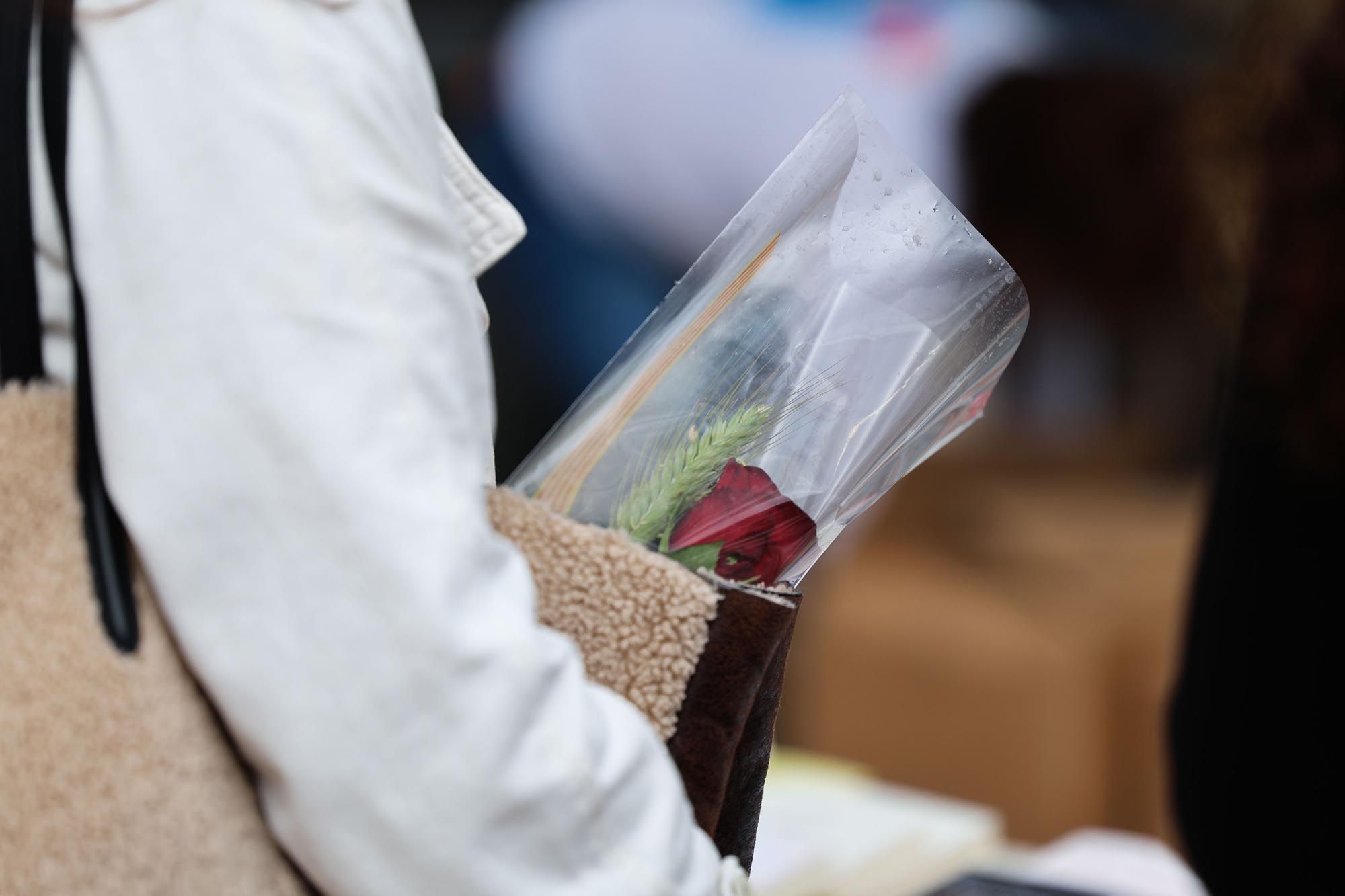 Todas las imagenes de Sant Jordi en Ibiza