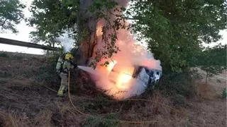 Un jabalí causa un accidente con un herido leve en la carretera de Moià