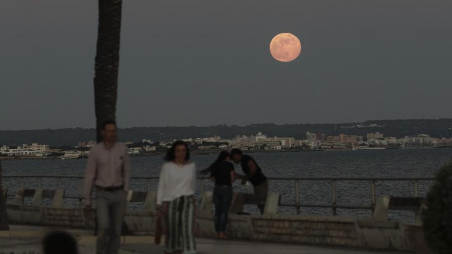 Otro eclipse en Mallorca este agosto: la Luna quedará casi cubierta por la sombra de la Tierra